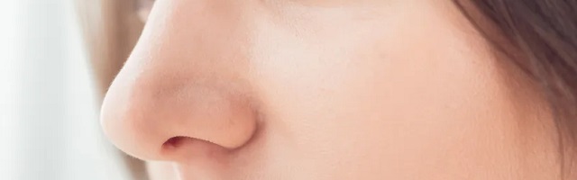 鼻の整形の画像